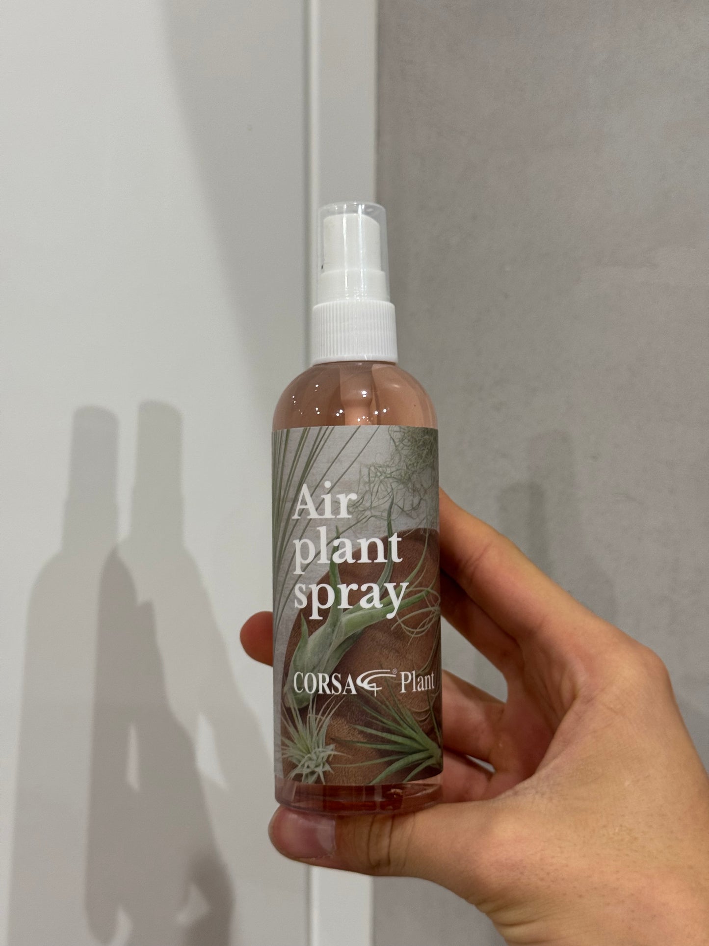 Air plant spraj