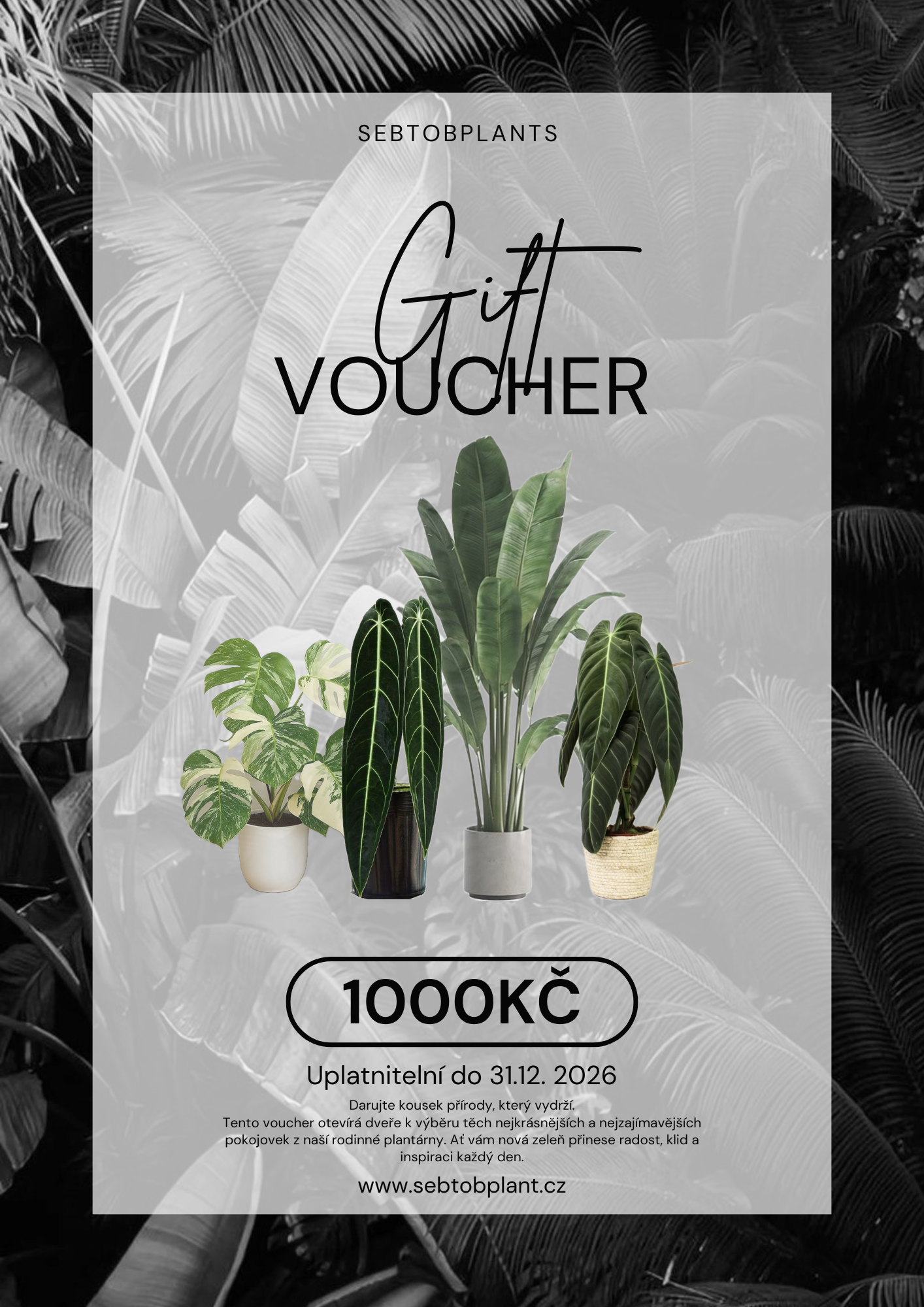 Dárkový voucher