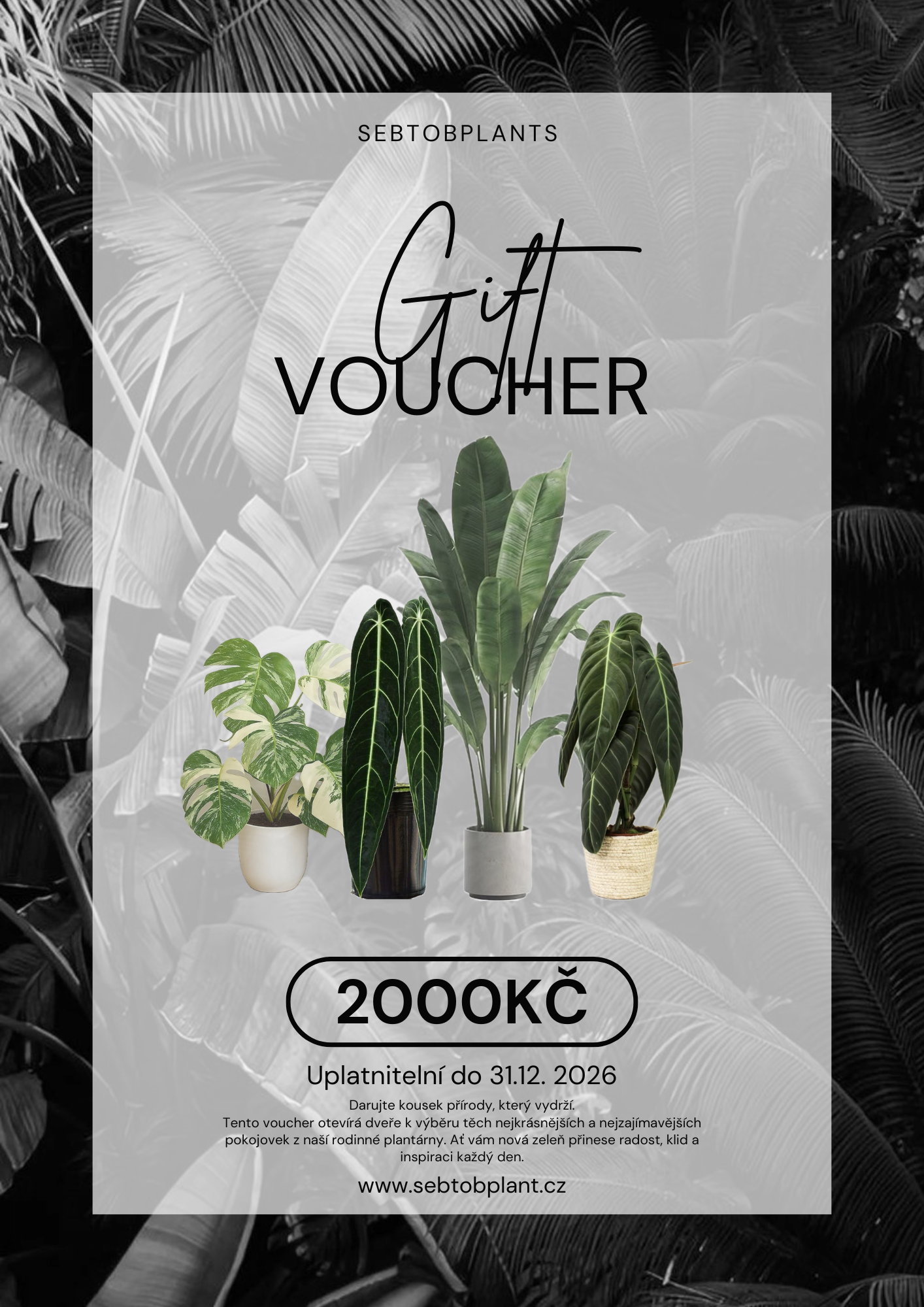 Dárkový voucher