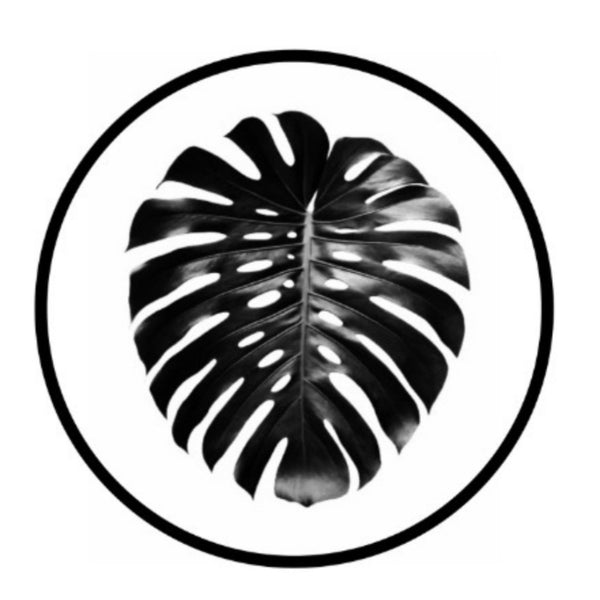 Sebtob's plants